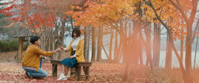 Film : « Promesse d’automne » au début de l’été ảnh 1