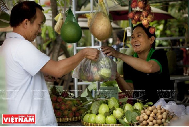 Le delta du Mékong laboure le sillon de l’agrotourisme ảnh 2 Le delta du Mékong laboure le sillon de l’agrotourisme ảnh 2
