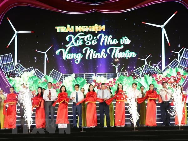 Ouverture de la Fête du vin et des raisins de Ninh Thuân 2019 ảnh 1