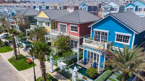 À la recherche d’opportunités même en vacances ảnh 1