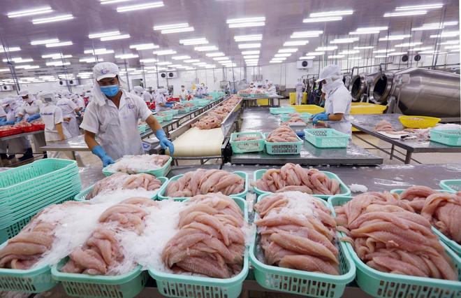 De belles perspectives des exportations de produits aquatiques vers la Chine ảnh 1 De belles perspectives des exportations de produits aquatiques vers la Chine ảnh 1