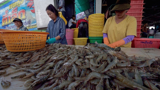 Thaïlande : les exportations de crevettes pourraient progresser de 20% l’an prochain ảnh 1 Thaïlande : les exportations de crevettes pourraient progresser de 20% l’an prochain ảnh 1