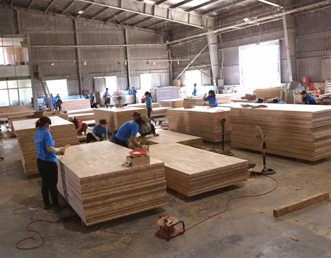 Le bois vietnamien a la cote à l’export ảnh 1