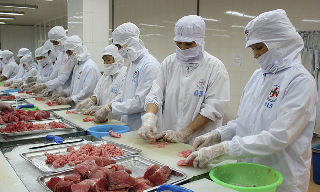 Booster les exportations nationales de thon vers le Moyen-Orient ảnh 1 Booster les exportations nationales de thon vers le Moyen-Orient ảnh 1