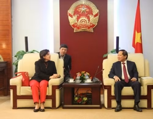 Vietnam-Cuba : belles perspectives de coopération dans l’information et la communication ảnh 1