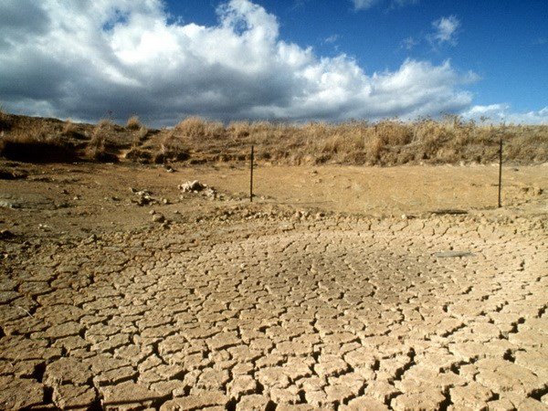Le Vietnam conjugue les efforts communs pour faire face aux changements climatiques ảnh 1 Le Vietnam conjugue les efforts communs pour faire face aux changements climatiques ảnh 1