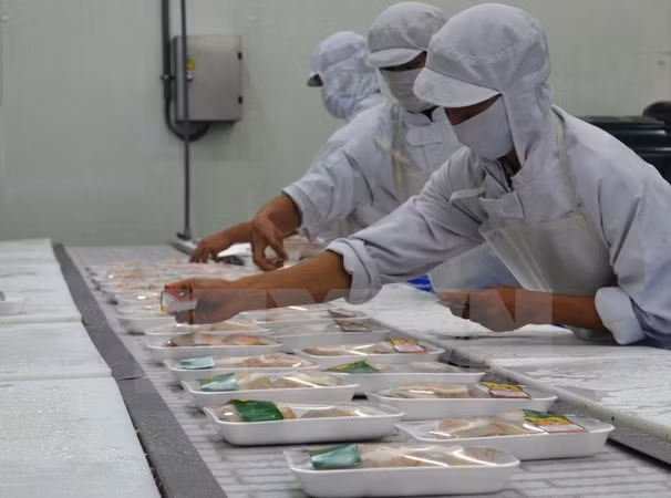 L'ASEAN et l'Australie renforcent la coopération agricole ảnh 1