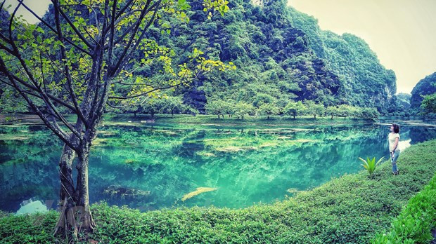 Ninh Binh: le tourisme dans les cavernes au cœur du patrimoine mondial ảnh 1 Ninh Binh: le tourisme dans les cavernes au cœur du patrimoine mondial ảnh 1