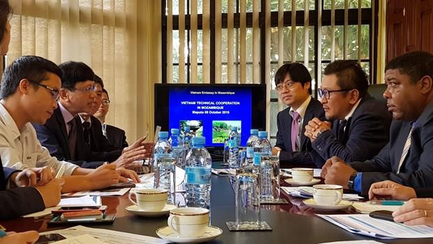Des entreprises vietnamiennes et japonaises s'associent pour soutenir le développement du Mozambique ảnh 1 Des entreprises vietnamiennes et japonaises s'associent pour soutenir le développement du Mozambique ảnh 1