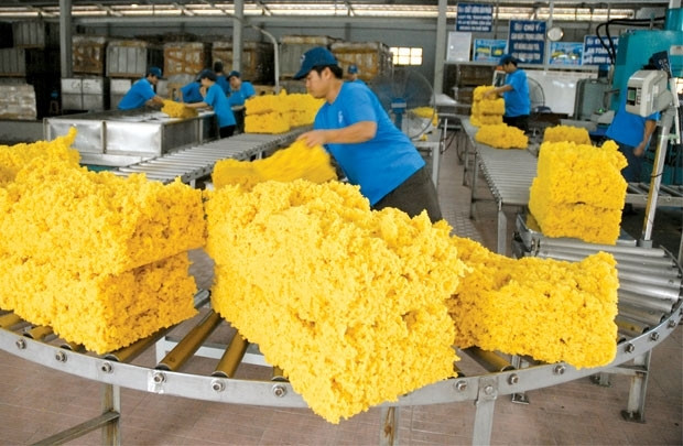 Les exportations de caoutchouc repartent à la hausse ảnh 1 Les exportations de caoutchouc repartent à la hausse ảnh 1