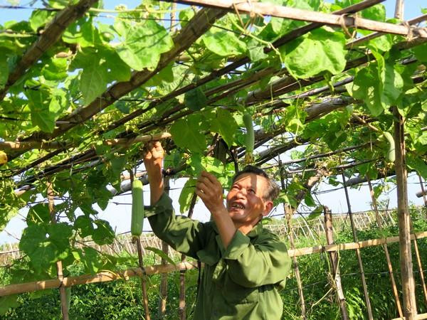 Ha Tinh ambitionne de répondre aux normes de la Nouvelle ruralité en 2025 ảnh 1