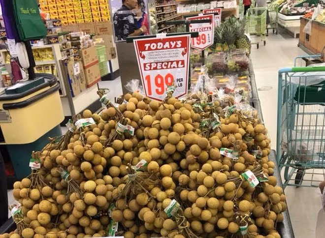 Exportations en Australie: de nombreux signaux positifs ảnh 1