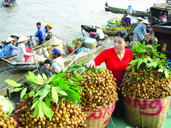 Exportations vietnamiennes de fruits et légumes en 9 mois ảnh 1 Exportations vietnamiennes de fruits et légumes en 9 mois ảnh 1