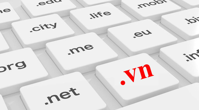 Nom de domaine: Le Vietnam domine toujours l'ASEAN ảnh 1 Nom de domaine: Le Vietnam domine toujours l'ASEAN ảnh 1