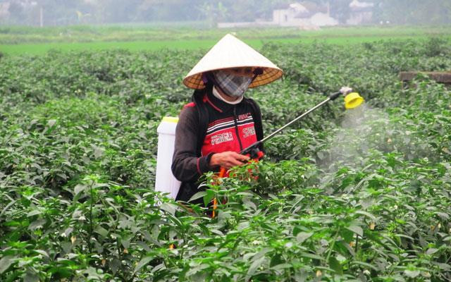 Deux districts de la province de Thanh Hoa atteignent les normes de la Nouvelle ruralité ảnh 1 Deux districts de la province de Thanh Hoa atteignent les normes de la Nouvelle ruralité ảnh 1
