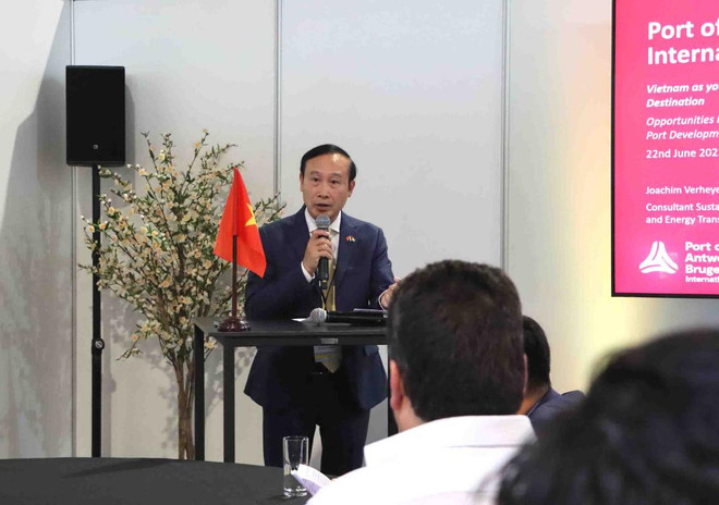 Le Vietnam, une « destination verte" des investisseurs belges ảnh 2 Le Vietnam, une « destination verte" des investisseurs belges ảnh 2