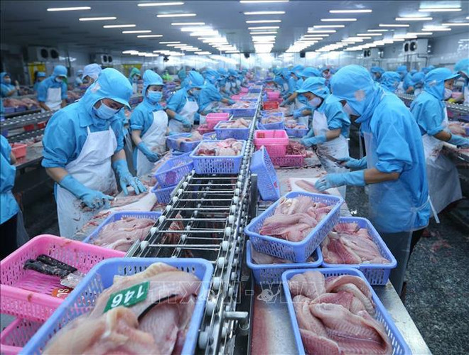 Les produits aquatiques vietnamiens cartonnent sur les marchés étrangers ảnh 1