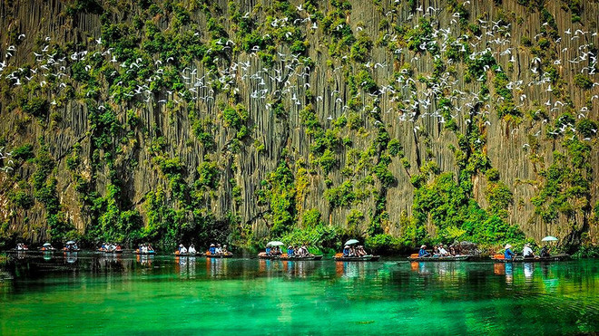 Promouvoir un tourisme responsable et la conservation de la faune ảnh 1 Promouvoir un tourisme responsable et la conservation de la faune ảnh 1