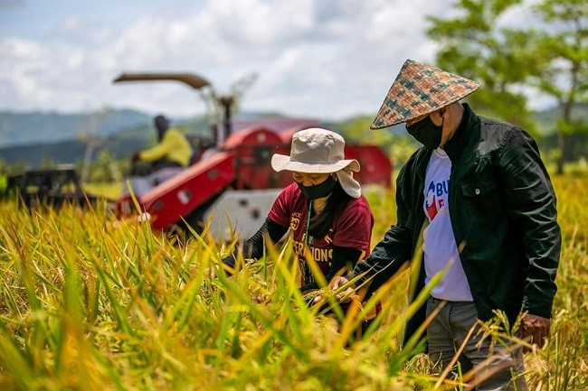 Agriculture: Les Philippines et la BM signent un accord de prêt de 370 millions de dollars ảnh 1 Agriculture: Les Philippines et la BM signent un accord de prêt de 370 millions de dollars ảnh 1