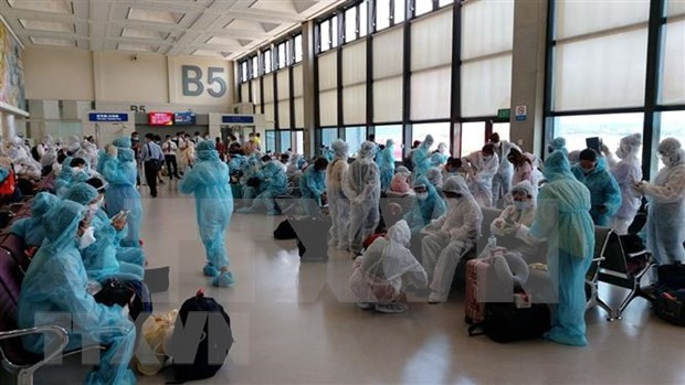 Coronavirus : Rapatriement de plus de 240 citoyens vietnamiens de Singapour ảnh 1 Coronavirus : Rapatriement de plus de 240 citoyens vietnamiens de Singapour ảnh 1