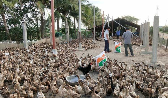 Le Cambodge exhorte les chômeurs touchés par le Covid-19 à se lancer dans l’agriculture ảnh 1
