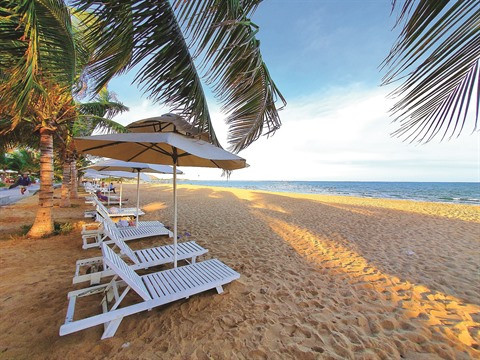 Promotions de Saigontourist lors du Festival du tourisme ảnh 1 Promotions de Saigontourist lors du Festival du tourisme ảnh 1