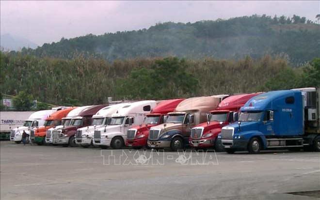 Solutions d'import-export proactives sur le marché chinois ảnh 1 Solutions d'import-export proactives sur le marché chinois ảnh 1