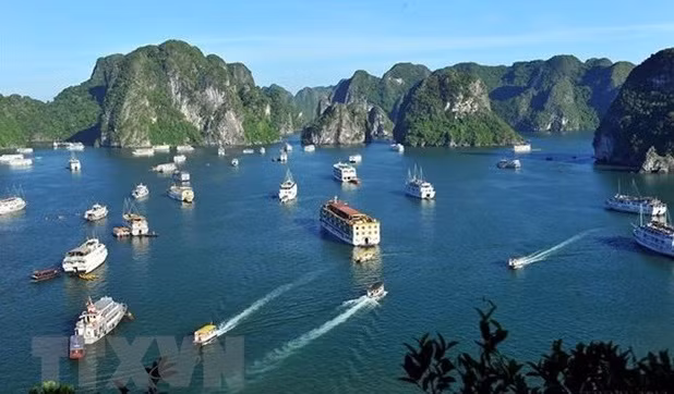 L'industrie du tourisme exhortée à reprendre des activités de manière sûre et sécurisée ảnh 1 L'industrie du tourisme exhortée à reprendre des activités de manière sûre et sécurisée ảnh 1
