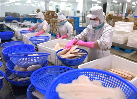 Pêche INN : de nombreux efforts pour la suppression du carton jaune ảnh 2 Pêche INN : de nombreux efforts pour la suppression du carton jaune ảnh 2