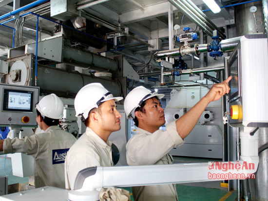 Inauguration d’une usine de farine animale à Nghe An ảnh 1