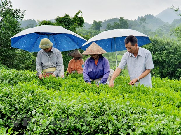 Réduction durable de la pauvreté grâce à l’utilisation efficace de fonds d’assistance ảnh 2
