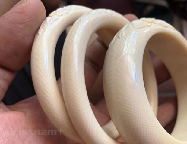 La destruction de l'ivoire doit être une pratique courante au Vietnam ảnh 2 La destruction de l'ivoire doit être une pratique courante au Vietnam ảnh 2