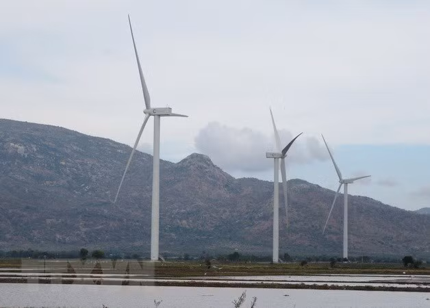 Accélération de la coopération pour développer les énergies renouvelables ảnh 1