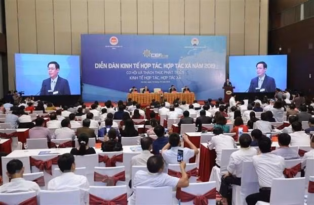 Promouvoir le rôle des coopératives au sein de l’économie collective ảnh 1