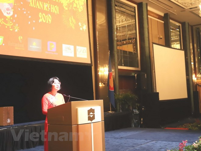 Le Têt du Cochon célébré dans des pays de l’ASEAN ảnh 1