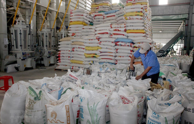 Le Vietnam exporte 2,83 millions de tonnes de riz en cinq mois ảnh 1 Le Vietnam exporte 2,83 millions de tonnes de riz en cinq mois ảnh 1