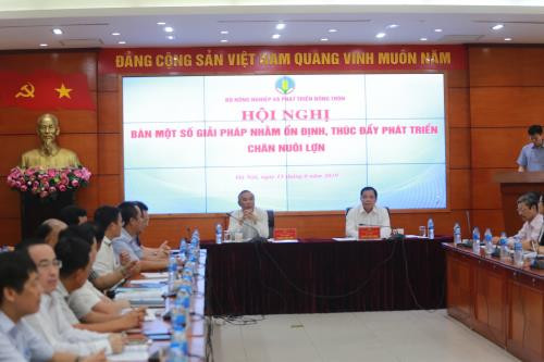 Chercher des mesures pour développer le secteur de l’élevage porcin ảnh 1 Chercher des mesures pour développer le secteur de l’élevage porcin ảnh 1
