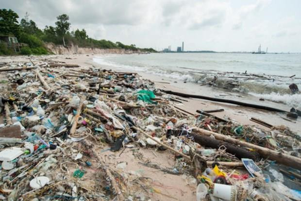 La Thaïlande s’efforce de réduire l’utilisation des sacs en plastique ảnh 1 La Thaïlande s’efforce de réduire l’utilisation des sacs en plastique ảnh 1