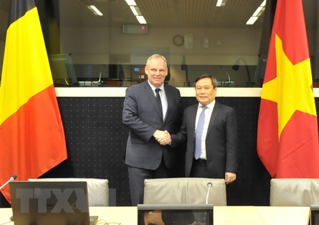 Vietnam et Belgique resserrent leur coopération économique ảnh 1 Vietnam et Belgique resserrent leur coopération économique ảnh 1