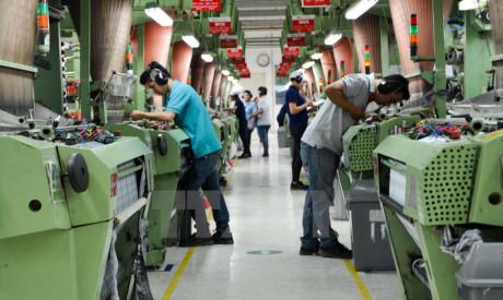 ASEAN : renforcement de la coopération subrégionale dans le travail ảnh 1