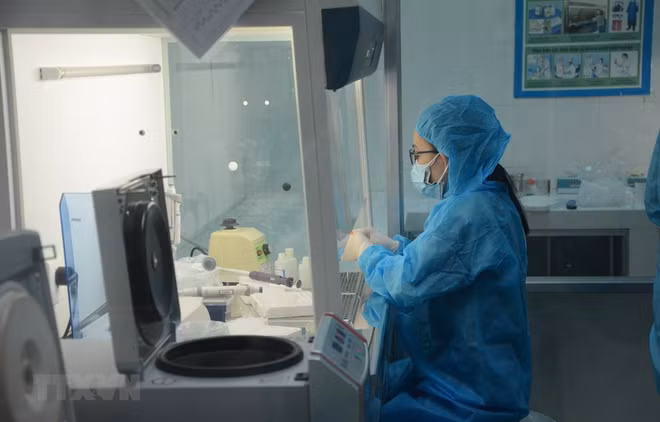 COVID-19 : Le bilan total s’établit à 1.882 cas confirmés ảnh 1 COVID-19 : Le bilan total s’établit à 1.882 cas confirmés ảnh 1