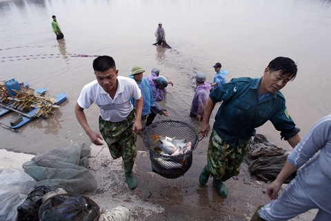 Objectifs ambitieux pour les filières pêche et aquaculture ảnh 2