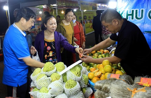Têt : les oranges et les pamplemousses de Hanoï face à la concurrence ảnh 2 Têt : les oranges et les pamplemousses de Hanoï face à la concurrence ảnh 2