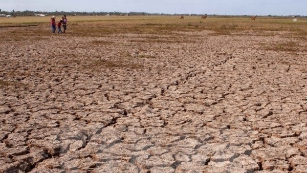 Venir en aide à la population touchée par la sécheresse et la salinisation ảnh 1
