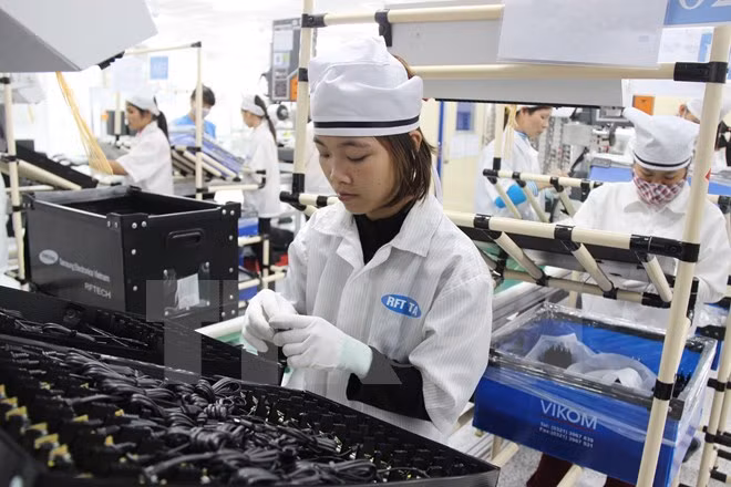 Bond des exportations nationales vers le Mexique ảnh 1