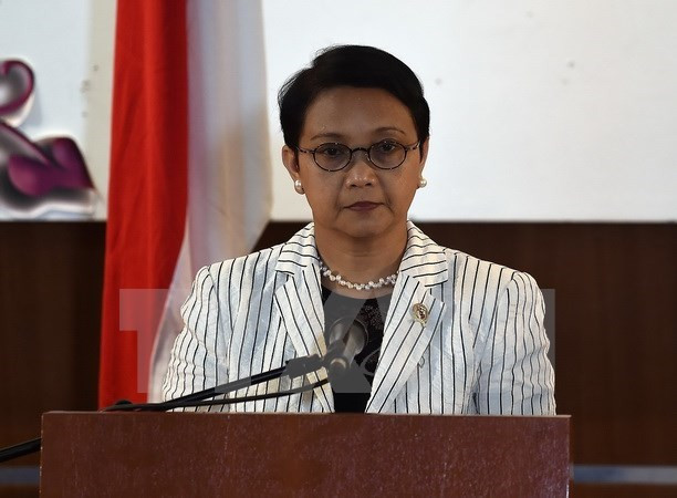 Indonésie et Mozambique promeuvent leur coopération économique ảnh 1