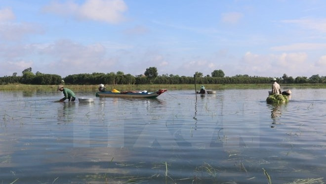 Plus de 600 milliards de dôngs investis dans le projet de réduction des risques de crues ảnh 1 Plus de 600 milliards de dôngs investis dans le projet de réduction des risques de crues ảnh 1