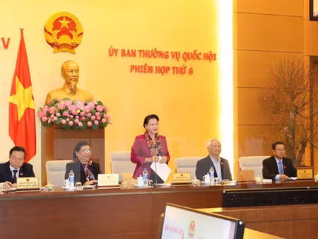 Une dizaine de réunions du comité permanent de l’AN prévue en 2017 ảnh 1