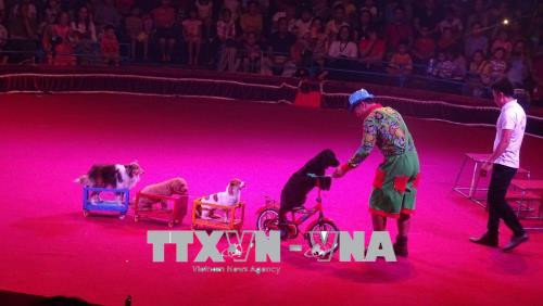 Ouverture du 1er gala international de cirque de Ho Chi Minh-Ville ảnh 2 Ouverture du 1er gala international de cirque de Ho Chi Minh-Ville ảnh 2