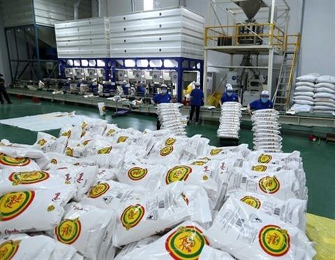 Le Vietnam a exporté deux milliards de dollars de riz ảnh 1